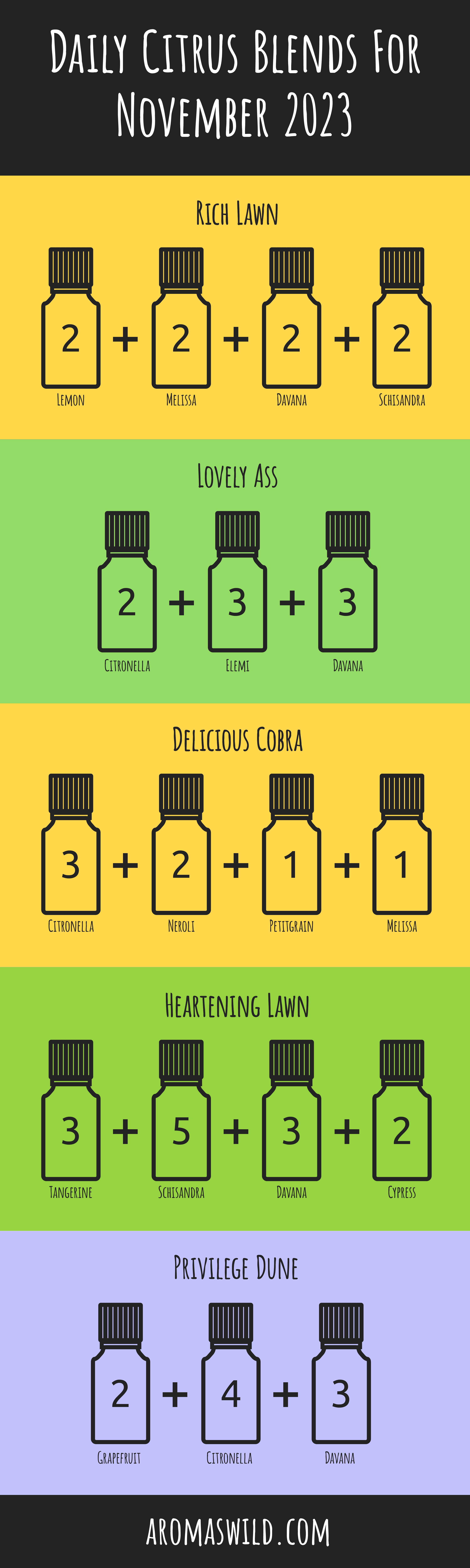 DIY-Oil-Blends-Diffuser/